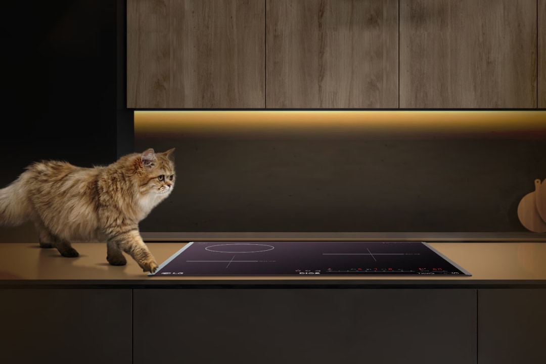 털이 풍성한 고양이가 주방 조리대 위를 걷고 있습니다. 조리대에는 인덕션이 설치되어 있으며, 배경에는 나무 재질의 벽장과 조명이 있습니다. 벽면에는 두 개의 나무 도마가 걸려 있습니다.