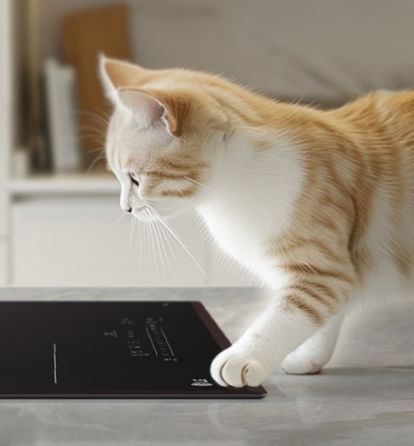 주방 조리대 위에 주황색과 흰색 줄무늬 고양이가 전기레인지 근처를 살펴보고 있습니다. 배경에는 주방의 일부가 보입니다.