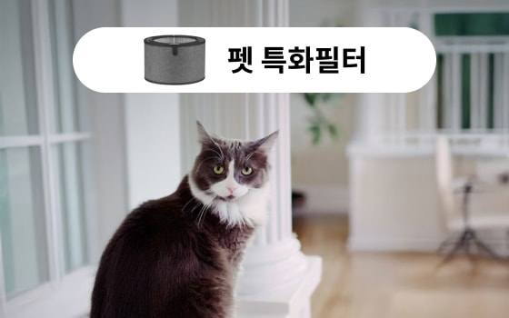 고양이와 함께 ‘펫 특화필터’를 강조한 장면으로, 반려동물을 키우는 환경에서도 쾌적한 실내 공기를 유지할 수 있도록 설계된 공기청정기의 기능을 보여줍니다. 상단에는 펫 전용 필터 이미지와 함께 "펫 특화필터"라는 문구가 삽입되어 있어, 털, 냄새, 알레르기 유발 물질 등을 효과적으로 제거하는 기능에 중점을 두고 있음을 시각적으로 전달합니다.