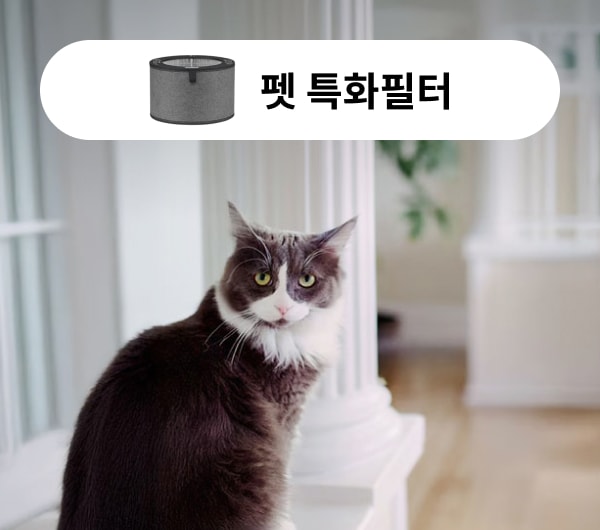 고양이와 함께 ‘펫 특화필터’를 강조한 장면으로, 반려동물을 키우는 환경에서도 쾌적한 실내 공기를 유지할 수 있도록 설계된 공기청정기의 기능을 보여줍니다. 상단에는 펫 전용 필터 이미지와 함께 "펫 특화필터"라는 문구가 삽입되어 있어, 털, 냄새, 알레르기 유발 물질 등을 효과적으로 제거하는 기능에 중점을 두고 있음을 시각적으로 전달합니다.