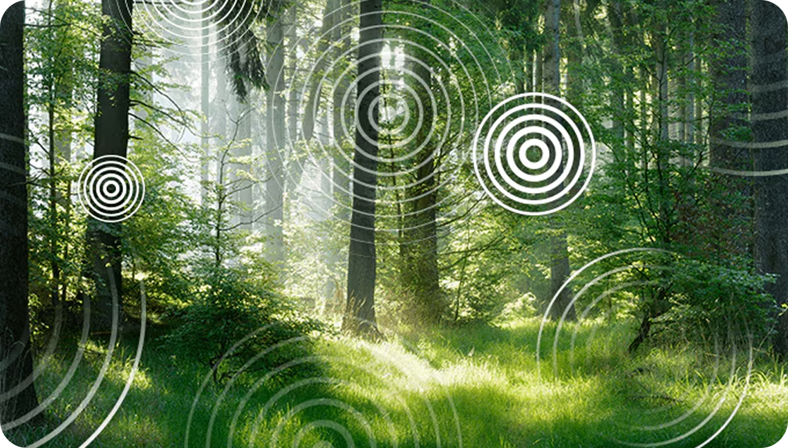 숲 풍경 위에 LG TV의 사운드를 시각화한 원형 파동 그래픽.