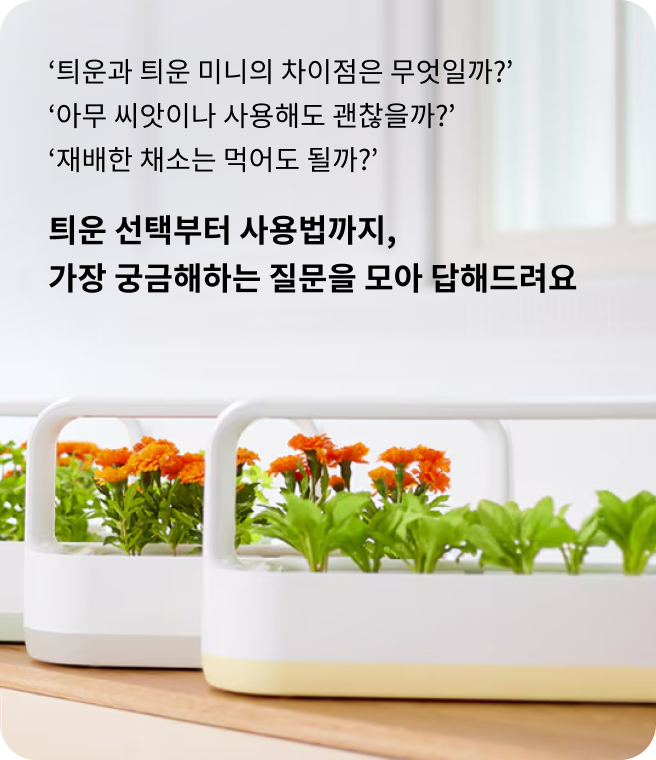 틔운과 틔운 미니의 차이점은 무엇일까? 아무 씨앗이나 사용해도 괜찮을까? 재배한 채소는 먹어도 될까? 틔운 선택부터 사용법까지, 가장 궁금해하는 질문을 모아 답해드려요. LG 틔운 미니 화이트 컬러 제품이 나란히 놓여 있으며, 각각 주황색 꽃과 푸른 잎채소가 자라고 있는 모습.