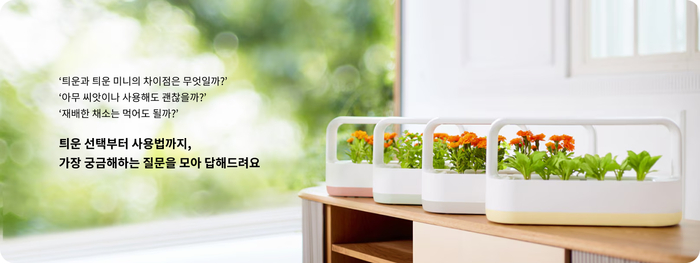 틔운과 틔운 미니의 차이점은 무엇일까? 아무 씨앗이나 사용해도 괜찮을까? 재배한 채소는 먹어도 될까? 틔운 선택부터 사용법까지, 가장 궁금해하는 질문을 모아 답해드려요. LG 틔운 미니 화이트 컬러 제품이 나란히 놓여 있으며, 각각 주황색 꽃과 푸른 잎채소가 자라고 있는 모습.