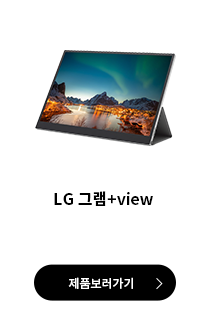 LG 그램+view 제품 보러가기