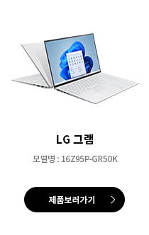 LG 그램 모델명:16Z95P-GR50K 제품 보러가기