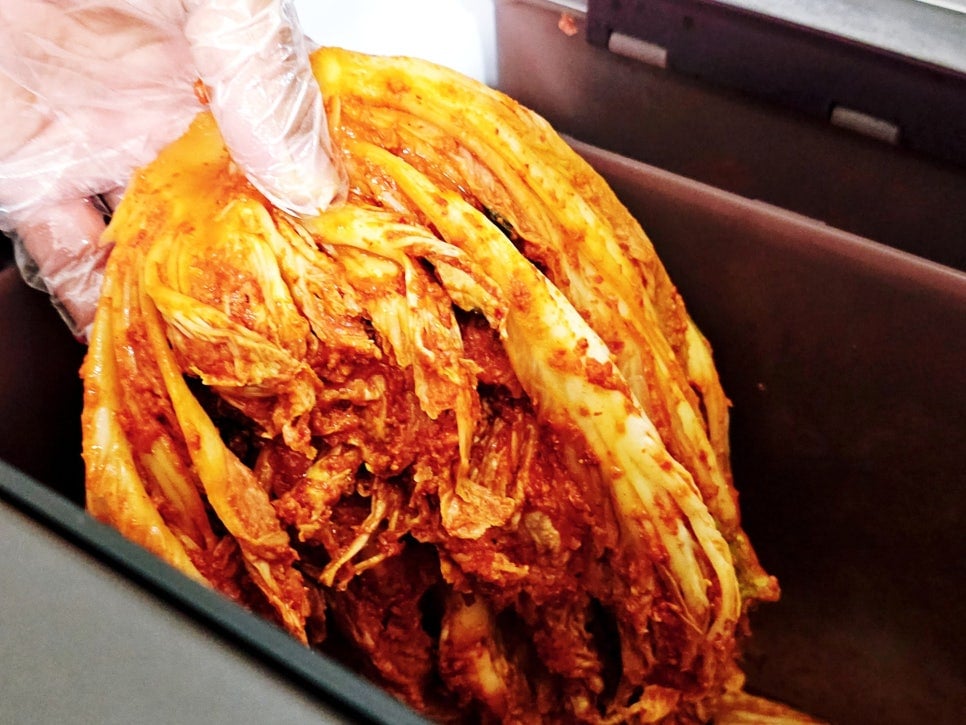 손에_장갑을_낀_상태에서_김치를_담고_있는_장면임._김치는_양념이_잘_발라져_있고,_김치통에_넣기_위해_손으로_잡고_있음.