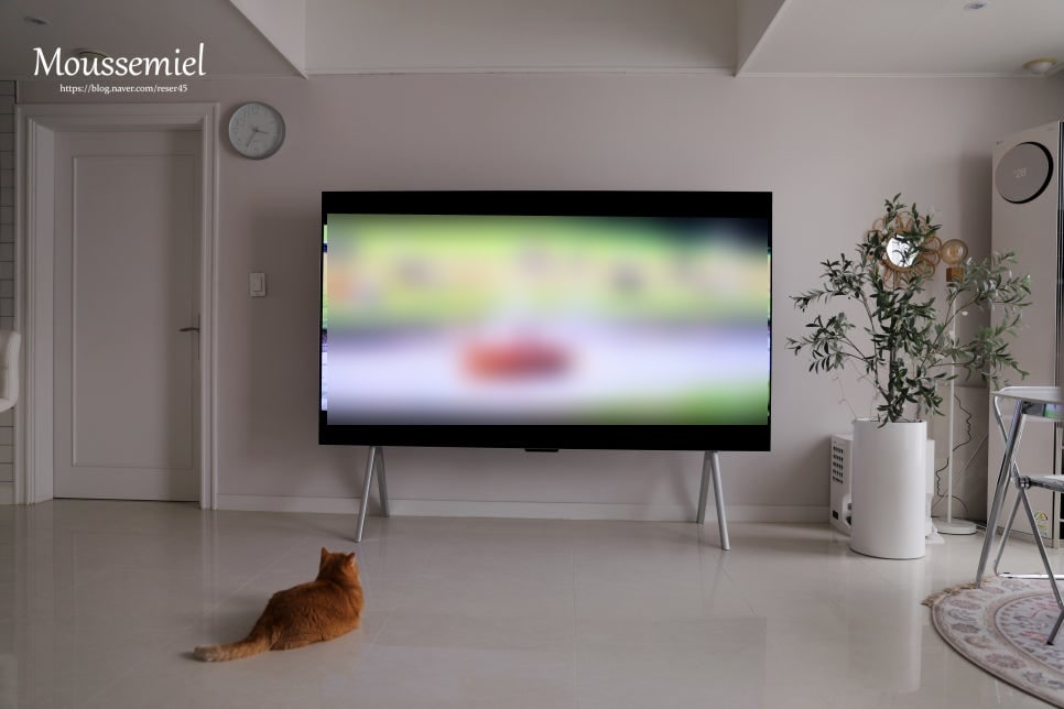 거실에_설치된_lg_signature_oled_m_tv가_밝고_선명한_화면을_표시하고_있으며,_화면_앞_바닥에는_갈색_고양이가_누워_tv를_바라보고_있다._tv는_미니멀한_디자인의_스탠드에_거치되어_있으며,_오른쪽에는_화분과_에어컨,_작은_테이블이_배치되어_있다.