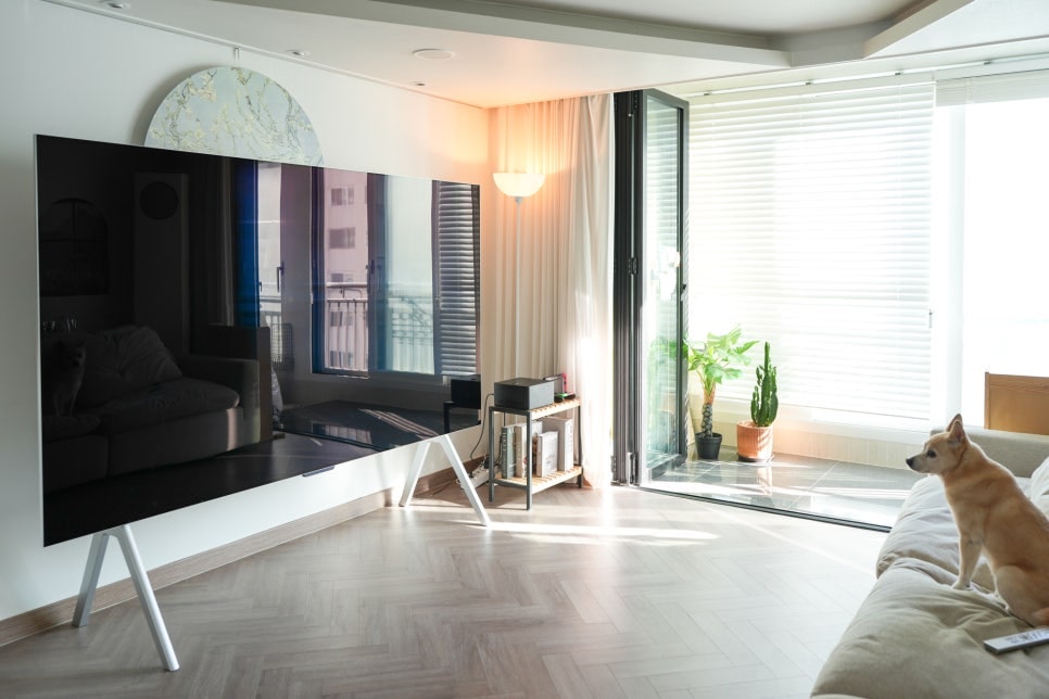 lg_signature_oled_m_tv가_거실_벽에_설치되어_있으며,_화면이_꺼져_있어_반사된_창문과_실내_공간이_보인다._우측에는_소파에_앉아_창밖을_바라보는_강아지가_있으며,_거실에는_화분과_작은_책장이_배치되어_있다.
