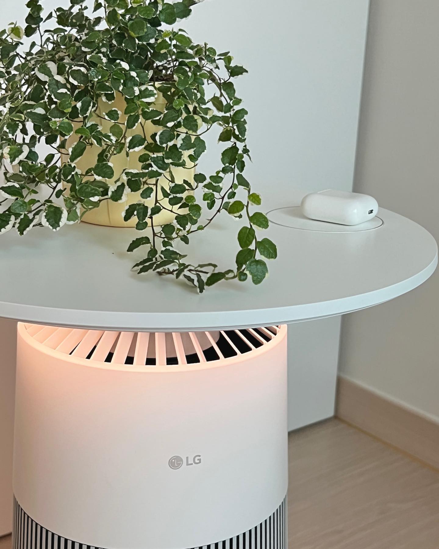 LG 에어로퍼니처 위에 초록 식물 화분과 무선 이어폰이 놓여 있음