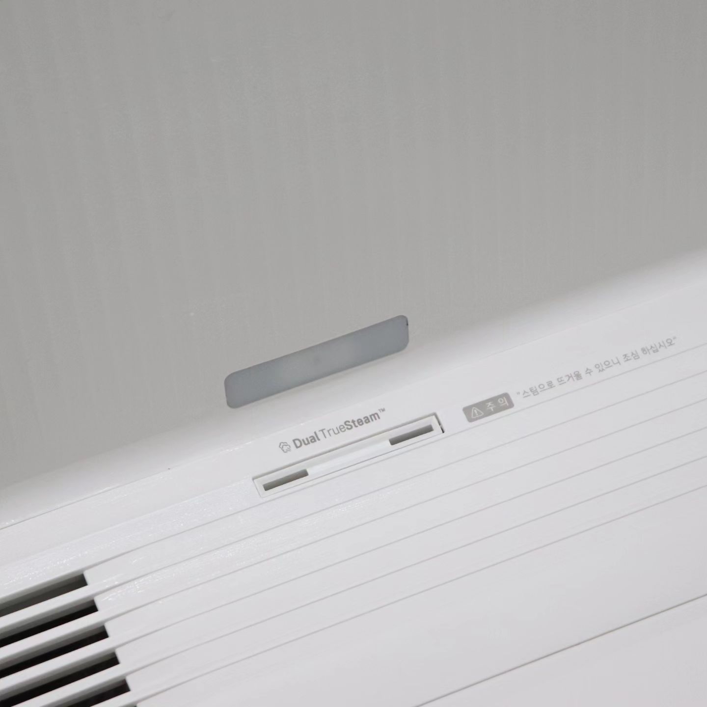 스타일러 내부 하단의 Dual TrueSteam 스팀 분사구가 보임. 표면에는 스팀 배출 주의 문구가 적혀 있으며, 스팀이 나오는 작은 배출구와 공기 순환을 위한 통풍구가 있음.