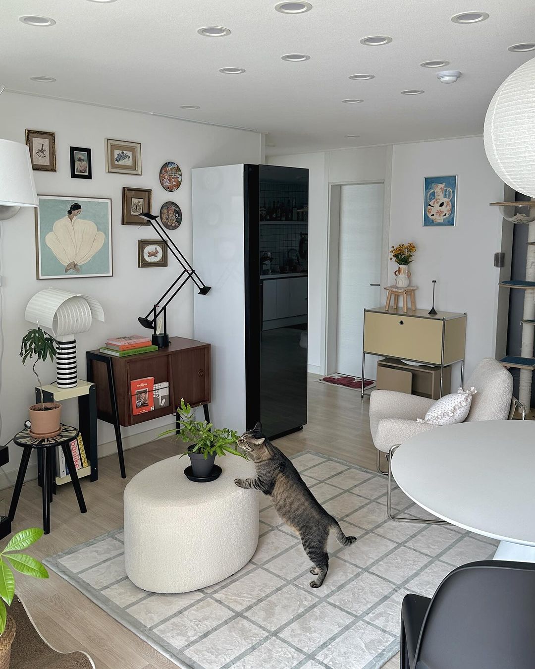 앞면은 블랙틴트 미러, 옆면은 화이트인 스타일러가 거실에 배치됨. 원형 테이블에 화분이 놓여있고, 고양이가 앞발을 올리고 있음. 벽에는 액자들이 걸려 있고, 우드 가구와 장식 소품들이 배치되어 있음.