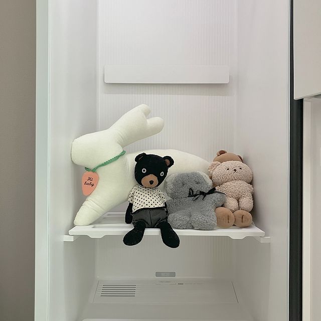 문이 열린 스타일러 내부 선반에 흰색 강아지, 검은색 곰, 회색과 베이지색 테디베어 인형들이 놓여 있음. 