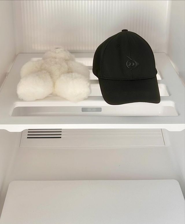 스타일러 내부 선반 위에 검은색 모자와 흰색 곰 인형이 놓여 있음.