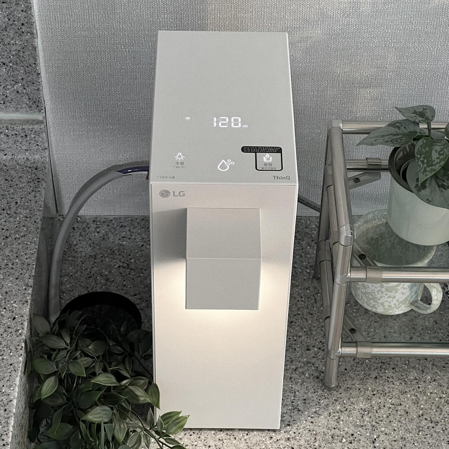 주방 조리대 위에 설치된 LG 정수기가 120ml의 물을 설정한 상태로 동작 중이며, 옆에는 작은 화분이 놓인 금속 선반이 있음