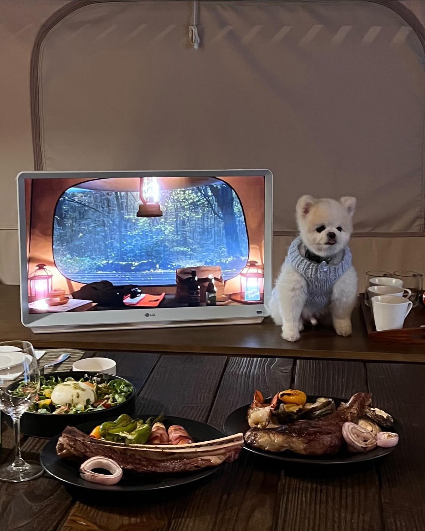 LG 룸앤 TV 옆에 강아지가 있으며, 앞에는 음식들이 놓여 있는 모습.