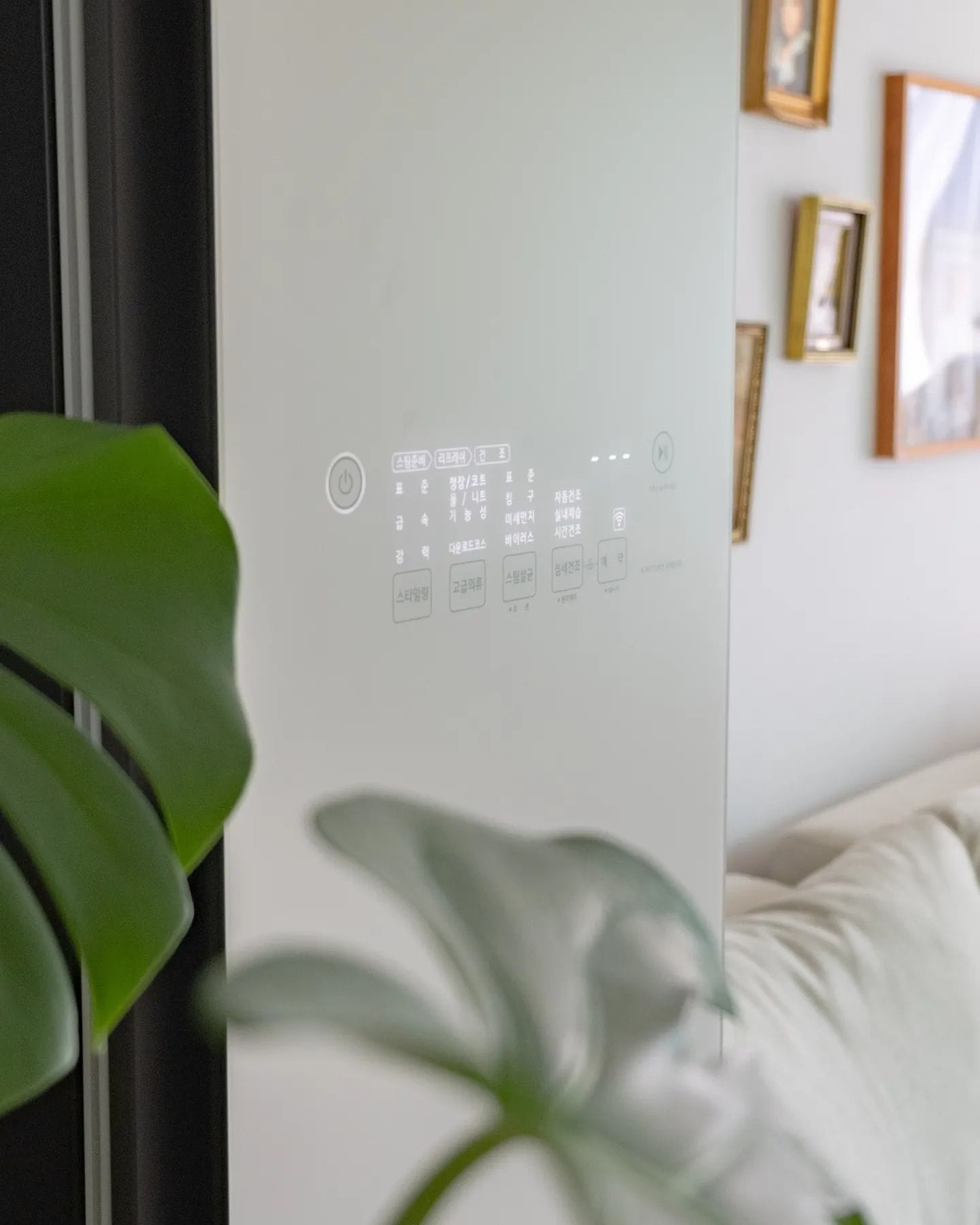 LG 스타일러 오브제컬렉션의 디스플레이가 켜져 있고, 앞에 몬스테라 잎이 배치된 모습.