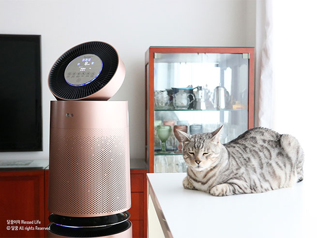 LG 퓨리케어 360도 공기청정기 펫과 그 옆의 테이블 위에서 휴식을 취하고 있는 고양이