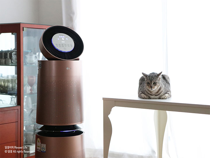 LG 퓨리케어 360도 공기청정기 펫과 고양이