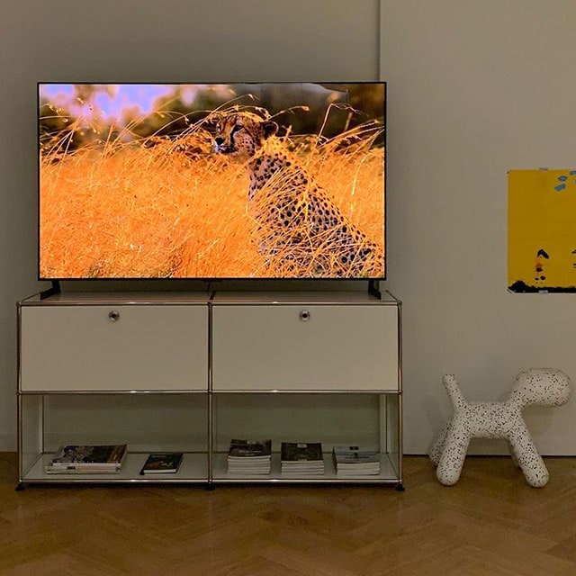 TV 화면에 풀숲 속 치타가 보이며, TV는 화이트 수납장 위에 놓여 있음. 아래에는 책과 잡지가 정리되어 있으며, 옆에는 강아지 모양의 장식품과 노란색 그림이 벽에 걸려 있음. 배경에는 심플한 디자인의 벽과 나무 바닥이 있음.