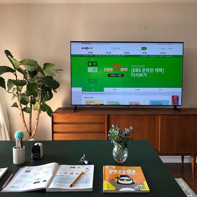 TV 화면에 EBS 온라인 개학 페이지가 표시된 거실. 앞쪽 테이블에는 교과서, 문제집, 연필 등이 놓여 있어 학습 공간 분위기를 연출함. 배경에는 큰 화분과 우드 톤 TV 장이 있음.