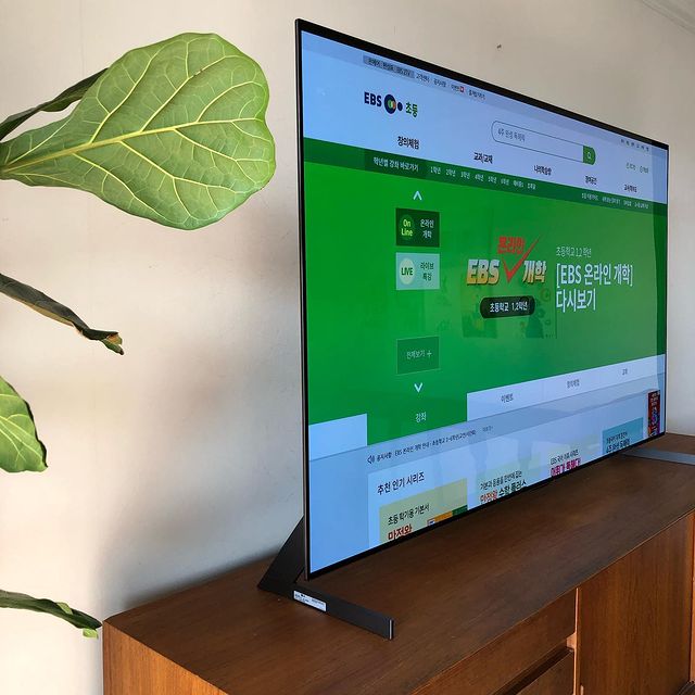 나무 거실장 위에 얇은 베젤의 TV가 놓여 있으며, 화면에는 EBS 온라인 개학 페이지가 표시됨. 왼쪽에는 큰 녹색 잎을 가진 식물이 배경에 있음.
