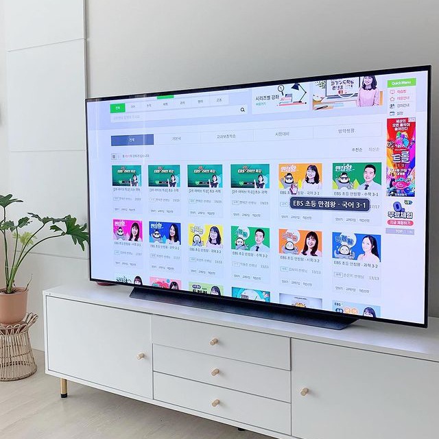 흰색 거실장 위에 배치된 TV 화면에 EBS 초등 온라인 강의 목록이 표시됨. 배경에는 흰 벽과 화분이 있음.