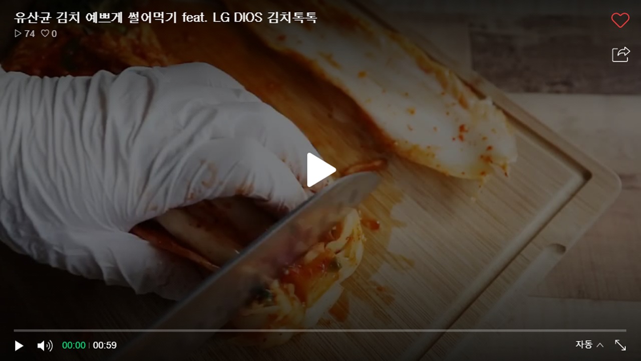 LG DIOS 김치톡톡