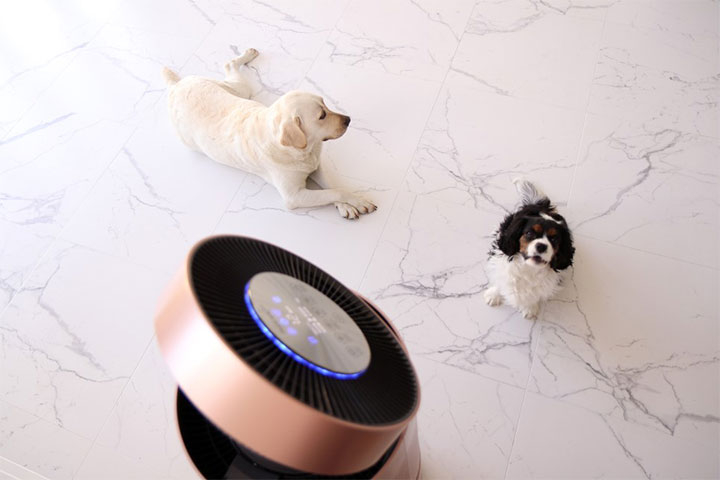 LG 퓨리케어 360˚ 공기청정기 펫 플러스와 두 마리의 개를 상단에서 내려다 본 모습