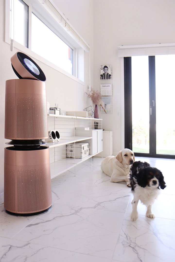 실내에 놓인 LG 퓨리케어 360˚ 공기청정기 펫 플러스와 바닥에 앉아 있는 두 마리의 개, 밝은 자연광이 들어오는 거실 공간