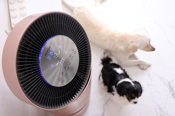 LG 퓨리케어 360˚ 공기청정기 펫 플러스 상단 디스플레이 클로즈업과 함께 공기청정기 옆에서 쉬고 있는 강아지들