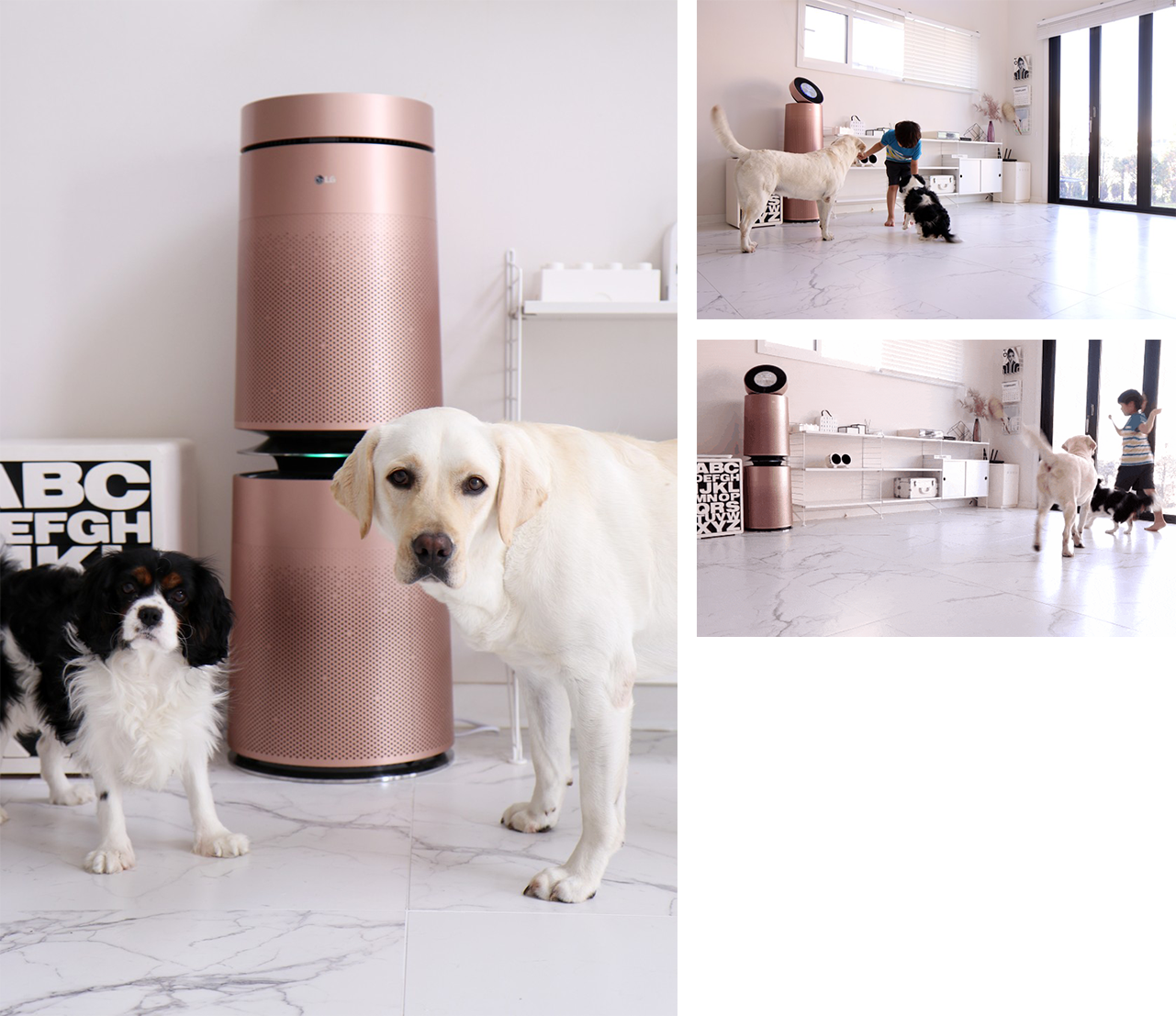 LG 퓨리케어 360˚ 공기청정기 펫 플러스 앞에 두 마리의 개가 서 있는 모습(왼쪽)과 공기청정기 근처에서 아이가 두마리의 개와 함께 놀이를 하고 있는 모습(오른쪽 상단)과 넓고 밝은 실내 공간에서 아이와 두마리의 개가 함께 움직이고 있는 모습(오른쪽 하단)