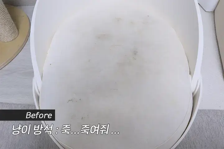 펫 패밀리 제품 선물 이미지