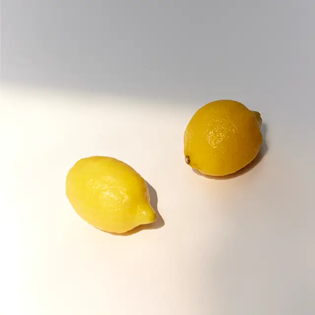 레인부츠 냄새 제거를 위해 말린 오렌지와 레몬 껍질을 넣어 시트러스 향을 더하는 방법 안내 이미지