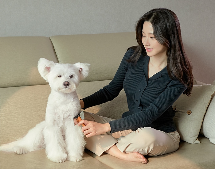 소파에 앉아 흰색 강아지의 털을 강아지 빗으로 빗어주고 있는 여성. 강아지가 편안한 표정으로 정면을 바라보고 있는 모습.