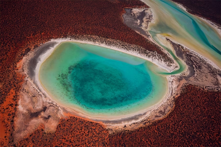 샤크 만(Shark Bay)의 조감도. 붉은 사막과 하얀 소금층으로 둘러싸인 에메랄드빛 석호가 중심을 이루며, 푸른 물길이 주변과 연결되어 자연이 만들어낸 독특한 지형을 보여준다. 선명한 색상의 대조가 인상적이며, 고요한 분위기 속에서 생태계의 신비로움을 느낄 수 있다.