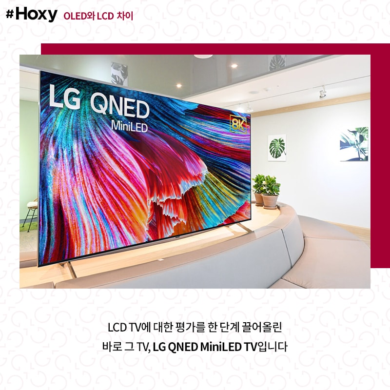 Hoxy_LGTV_08_210226