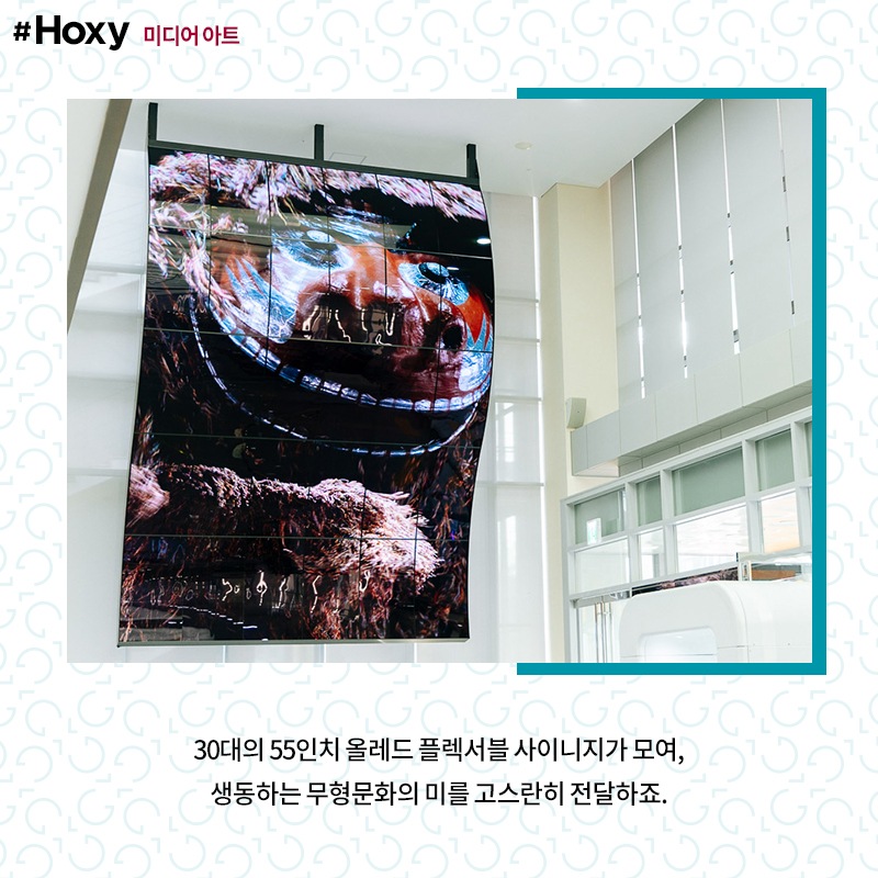 Hoxy_media-art_04_210129