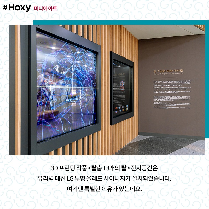 Hoxy_media-art_05_210129