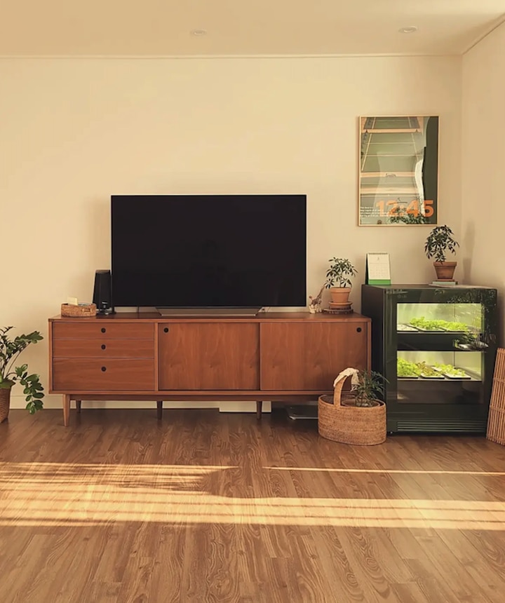 밝은 햇살이 들어오는 거실 공간에 우드 톤의 TV 선반이 배치되어 있고, 중앙에 검은색 화면의 대형 TV가 놓여 있다. 오른쪽에는 LG 틔운 오브제컬렉션 다크 그린 색상의 제품이 위치하며, 내부에 식물이 자라고 있다. 선반 위와 주변에는 화분들이 장식되어 있으며, 자연스러운 인테리어와 따뜻한 분위기를 연출하고 있다.