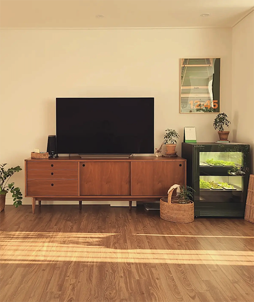 밝은 햇살이 들어오는 거실 공간에 우드 톤의 TV 선반이 배치되어 있고, 중앙에 검은색 화면의 대형 TV가 놓여 있다. 오른쪽에는 LG 틔운 오브제컬렉션 다크 그린 색상의 제품이 위치하며, 내부에 식물이 자라고 있다. 선반 위와 주변에는 화분들이 장식되어 있으며, 자연스러운 인테리어와 따뜻한 분위기를 연출하고 있다.