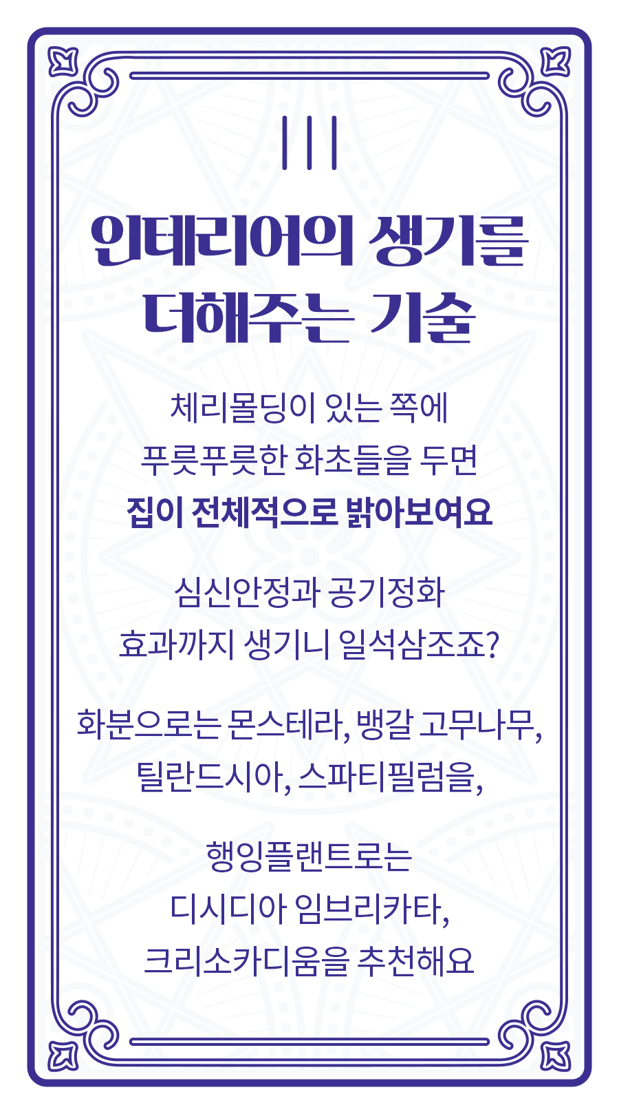 [인테리어의 생기를
                        더해주는 기술] 체리몰딩이 있는 쪽에 푸릇푸릇한 화초들을 두면 집이 전체적으로 밝아보여요 심신안정과 공기정화 효과까지 생기니 일석삼조죠? 화분으로는 몬스테라, 뱅갈 고무나무, 틸란드시아, 스파티필럼을, 행잉플랜트로는 디시디아 임브리카타 , 크리소카디움을 추천해요