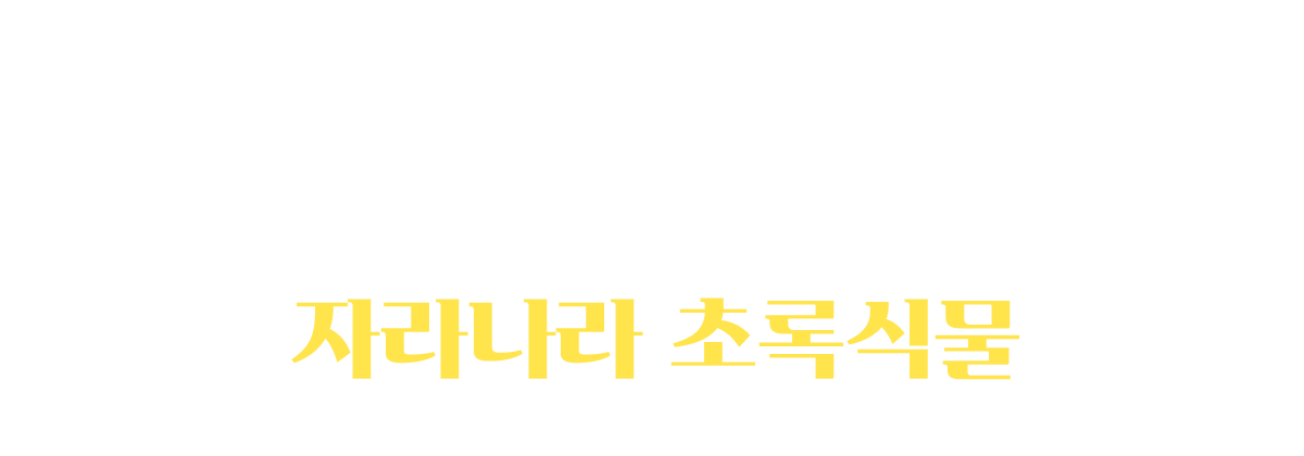 세 번째 치트키 카드