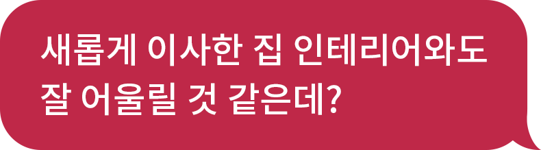 새롭게 이사한 집 인테리어와도 잘 어울릴 것 같은데?