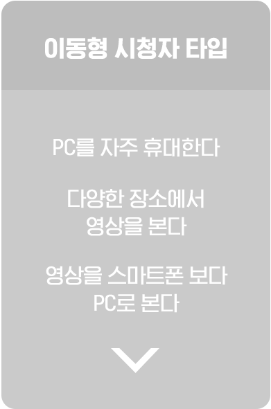 이동형 시청자 타입. PC를 자주 휴대한다. 다양한 장소에서 영상을 본다. 영상을 스마트폰 보다 PC로 본다