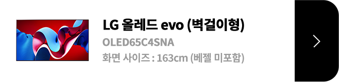 LG 올레드 evo (벽걸이형) / OLED65C4SNA / 화면 사이즈 :163cm / (베젤 미포함) / 제품보러가기
