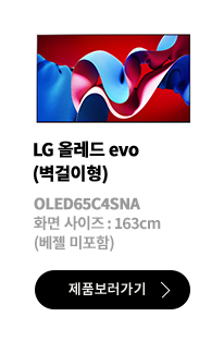 LG 올레드 evo (벽걸이형) / OLED65C3SNA / 화면 사이즈 :163CM / (베젤 미포함) / 제품보러가기