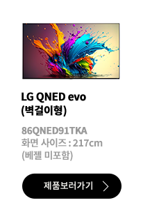 LG QNED evo (벽걸이형) / 86QNED91TKA / 화면 사이즈 :217CM / (베젤 미포함) / 제품보러가기
