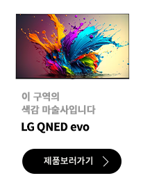 이 구역의 색감 마술사입니다 / LG QNED evo / 제품보러가기