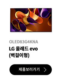 LG 올레드 evo (벽걸이형) / OLED83G4KNA / 제품보러가기