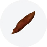 싹이 나지 않고 표면이 매끄러우며 품질이 안정적으로 유지된 고구마.